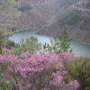 Camino am Stausee von Grandas de Salime